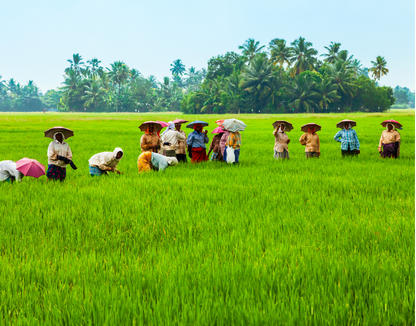 AgWise Pradan Whitepaper