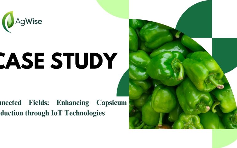 CASE STUDY WEBCOVER