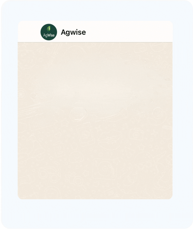 Chatflows 18