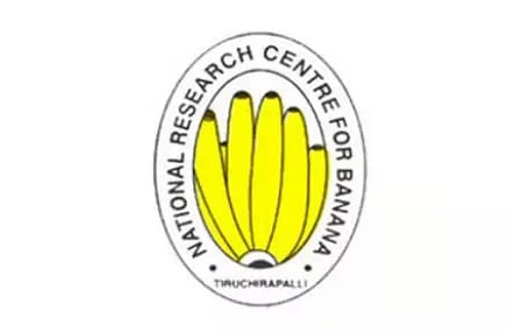 Dr I Ravi