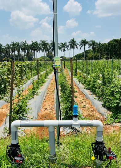 AgWise IoT Sensor based Automation 2