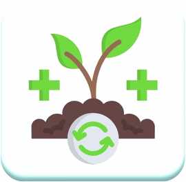 Web Icon 4